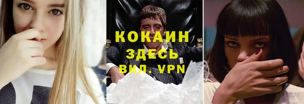 кокс Бородино