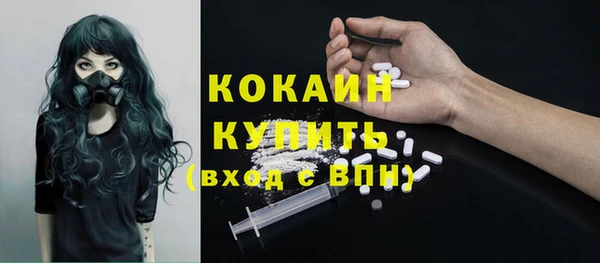 дурь Бронницы