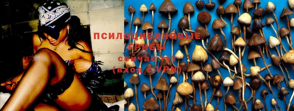 мдпв Белая Холуница