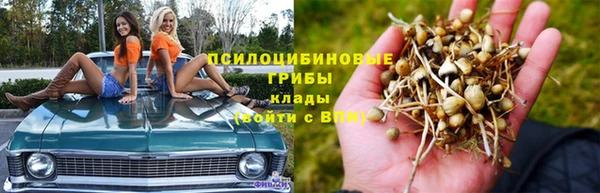 дурь Бронницы