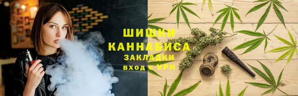 кокс Бородино